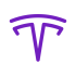 Logo Tesla - SV Tim 021